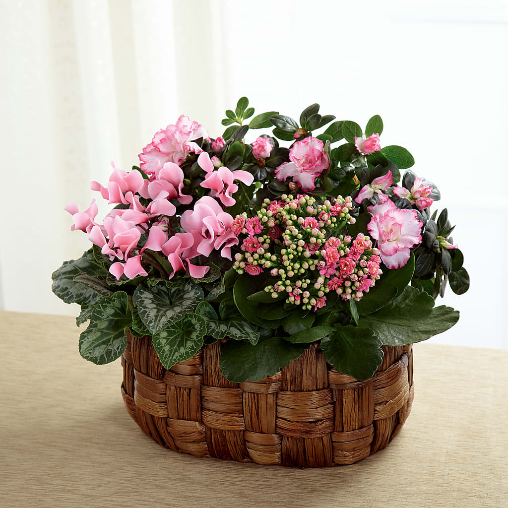 Pink Assortment – Pt Passionate Florist, Monroe WA