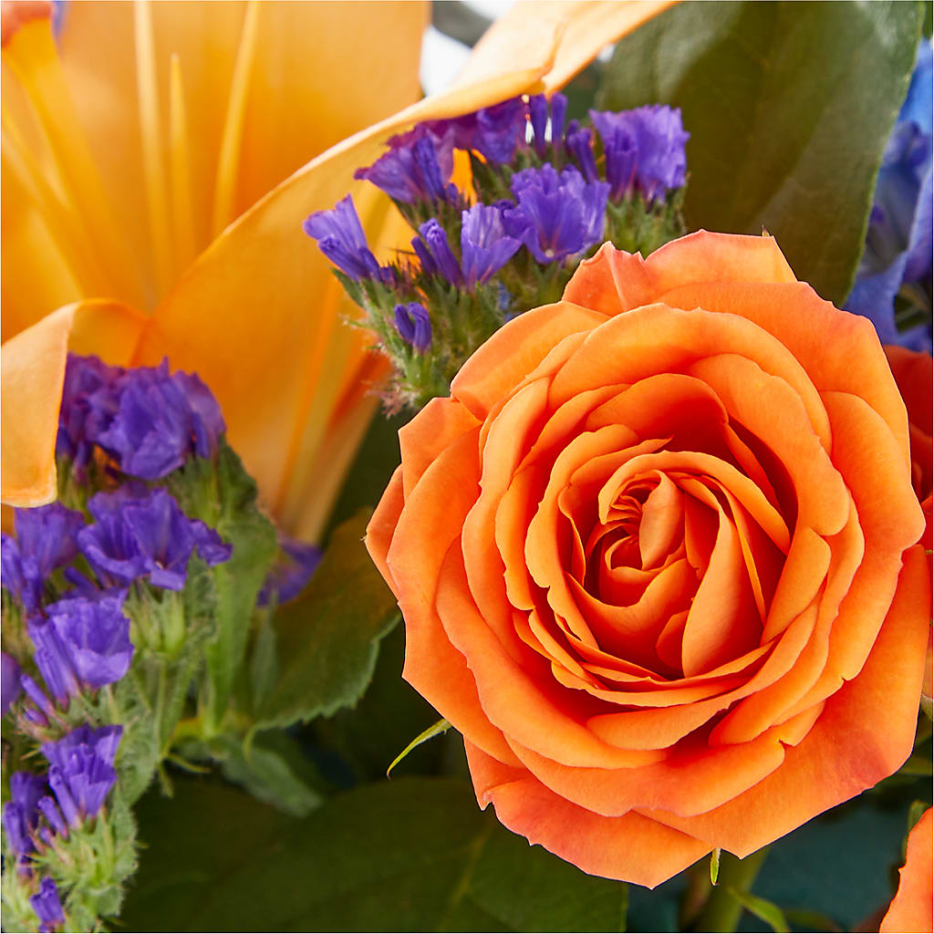 Radiant Citrus Box Bouquet – Pt Passionate Florist, Monroe WA