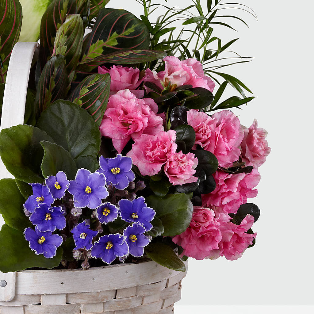 Peaceful Garden Planter – Pt Passionate Florist, Monroe WA