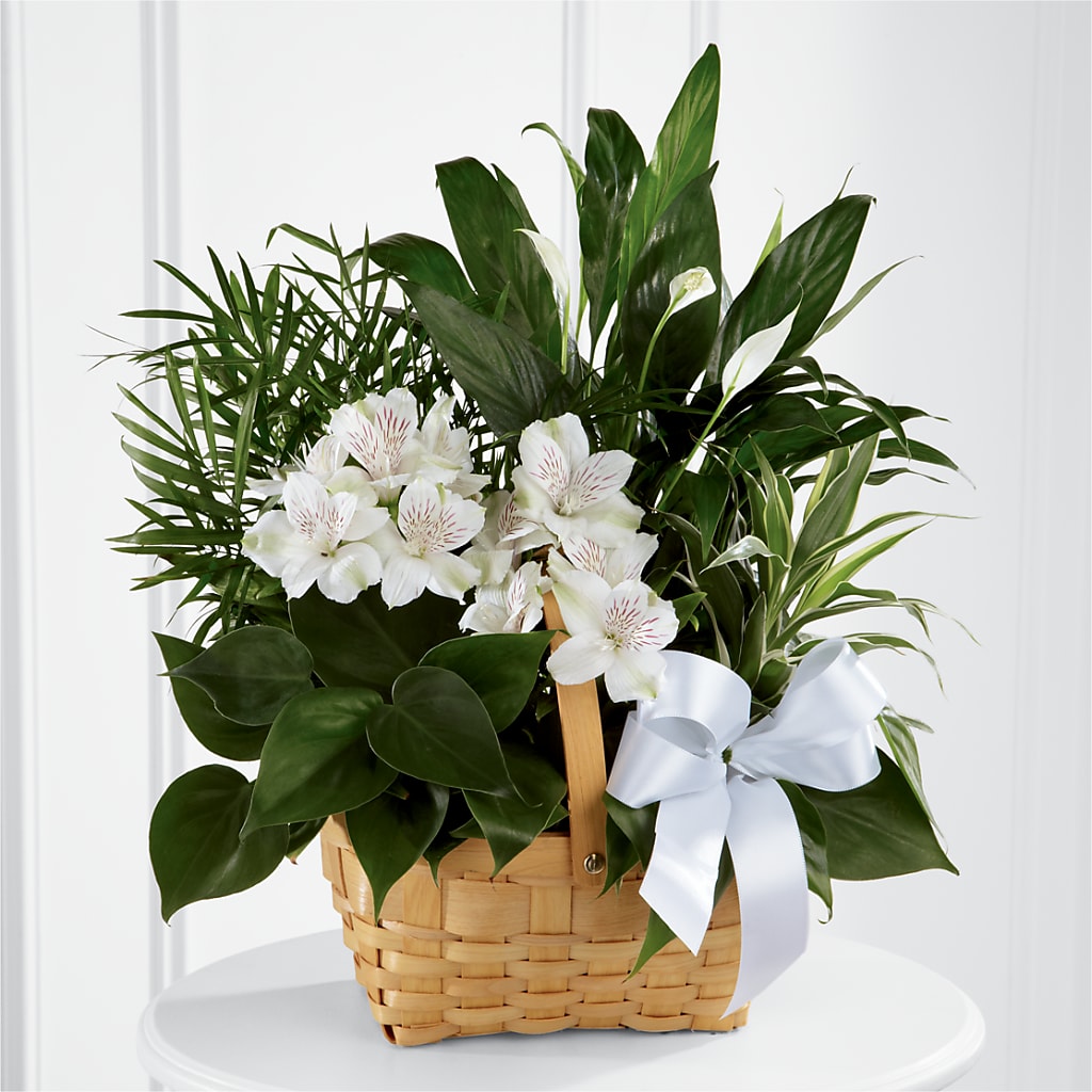 Peace & Serenity Dishgarden –  Pt Passionate Florist, Monroe WA