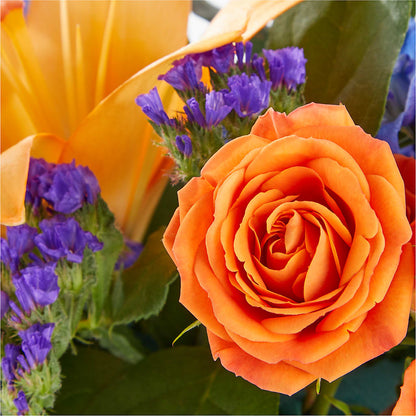 Radiant Citrus Box Bouquet –  Pt Passionate Florist, Monroe WA