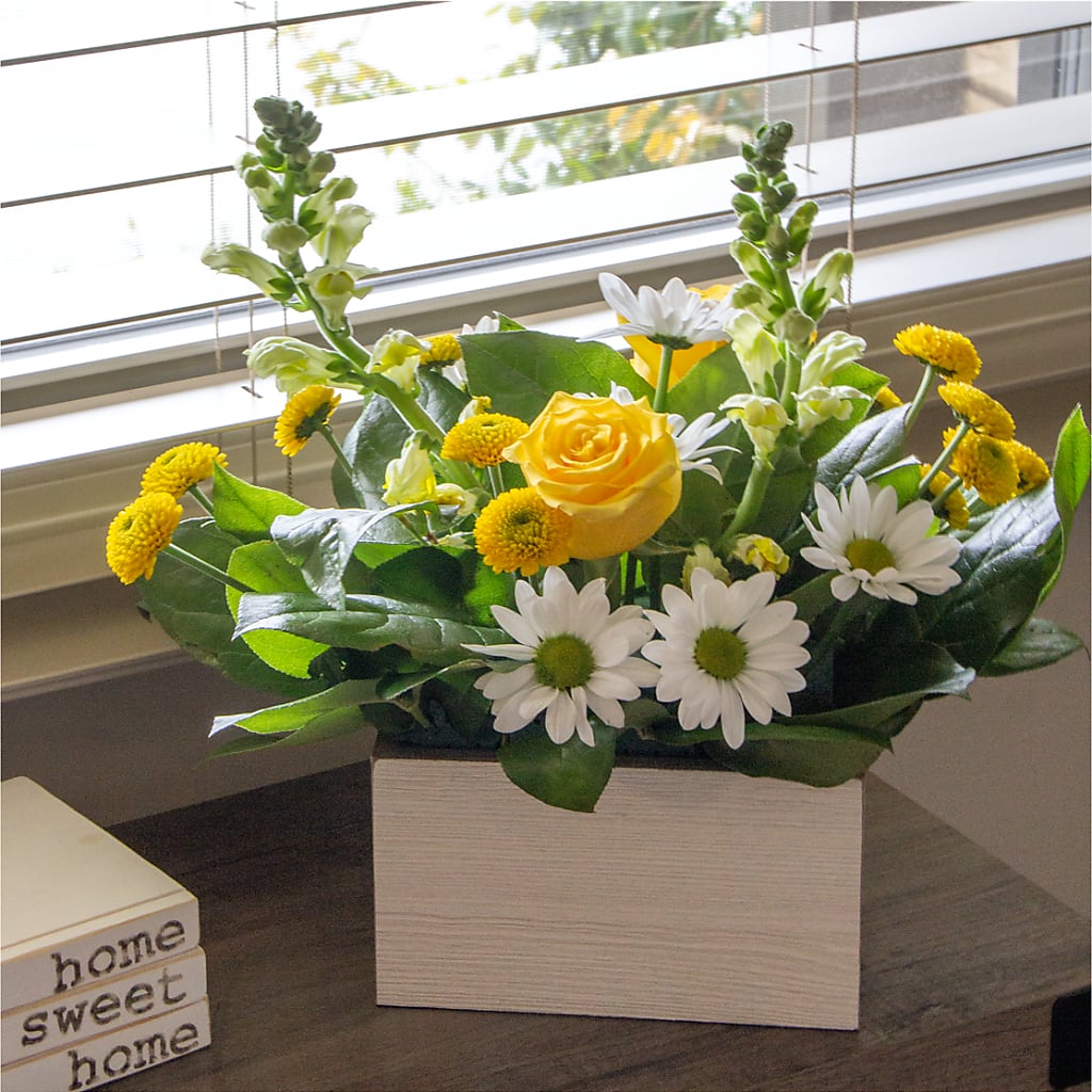 Sun Salutation Box Bouquet –  Pt Passionate Florist, Monroe WA