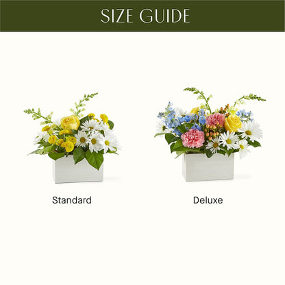 Sun Salutation Box Bouquet –  Pt Passionate Florist, Monroe WA