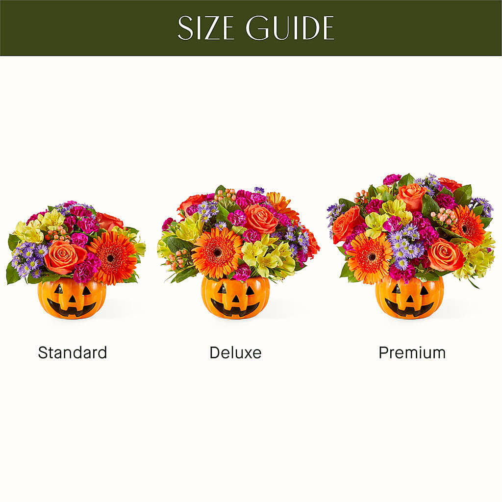 Tricks & Treats Pumpkin –  Pt Passionate Florist, Monroe WA