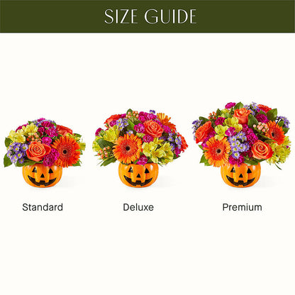 Tricks & Treats Pumpkin –  Pt Passionate Florist, Monroe WA