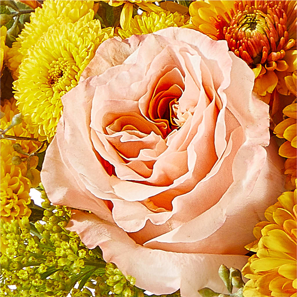 Peachy Pumpkin –  Pt Passionate Florist, Monroe WA