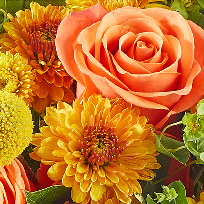 Gourdgeous Pumpkin –  Pt Passionate Florist, Monroe WA