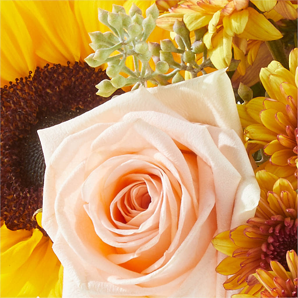 Pumpkin to Talk About Bouquet –  Pt Passionate Florist, Monroe WA