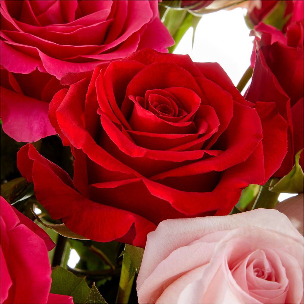 Love Notes Rose Bouquet –  Pt Passionate Florist, Monroe WA