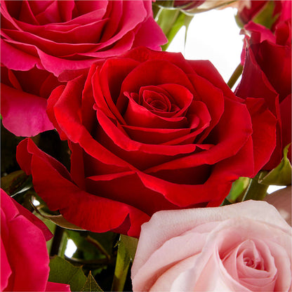 Love Notes Rose Bouquet –  Pt Passionate Florist, Monroe WA