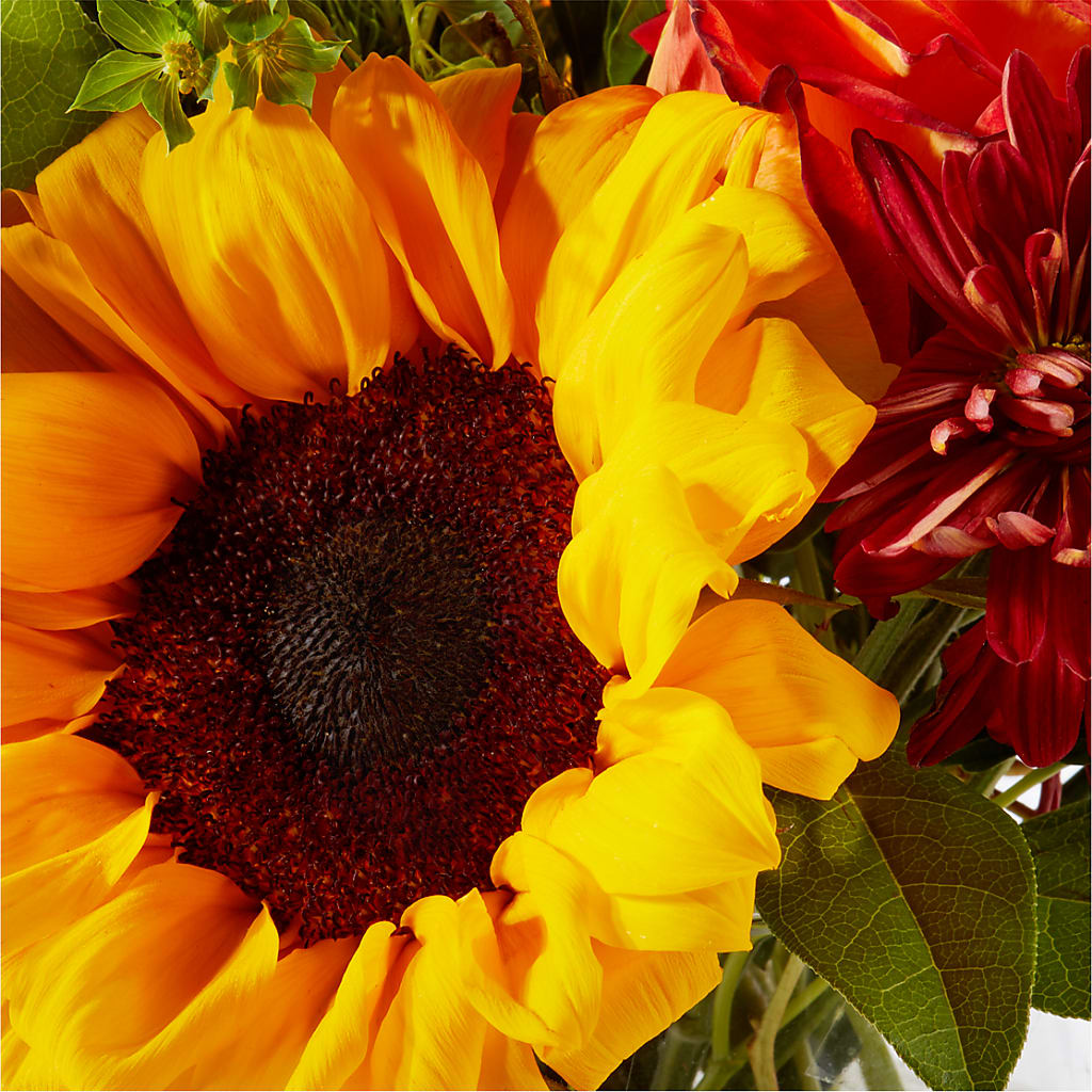 Harvest Festival Bouquet –  Pt Passionate Florist, Monroe WA