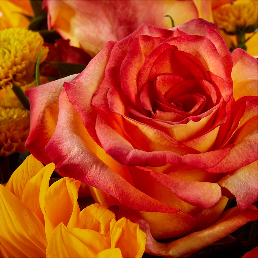 Picnic in the Park Bouquet –  Pt Passionate Florist, Monroe WA