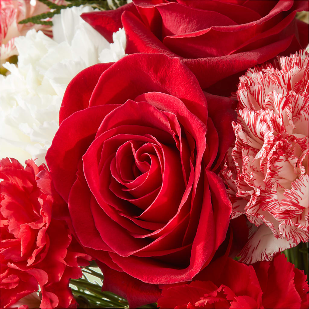 Candy Cane Lane Bouquet –  Pt Passionate Florist, Monroe WA