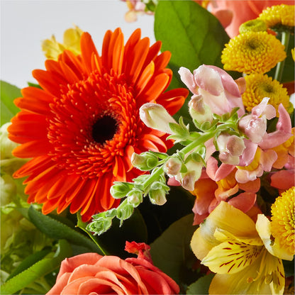 Autumn Sunshine Bouquet –  Pt Passionate Florist, Monroe WA
