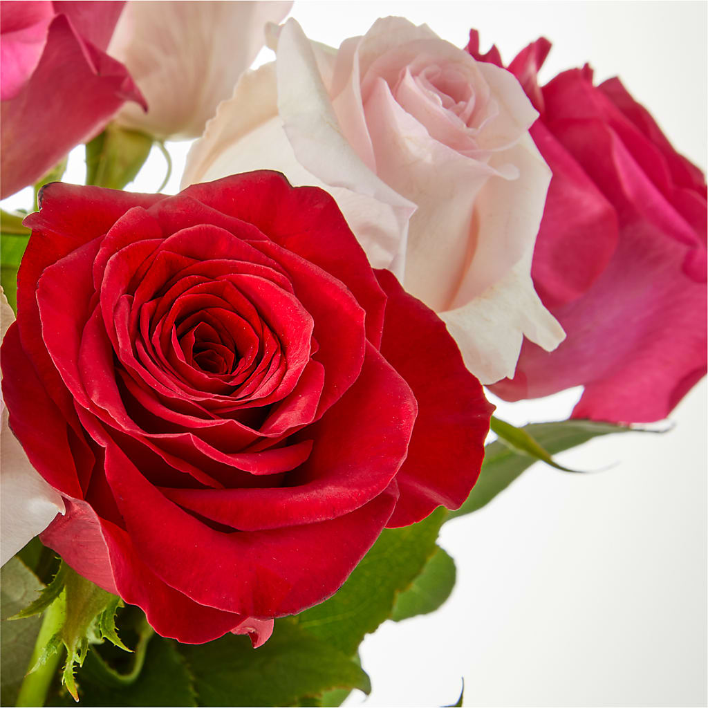 Charming Rose Bouquet –  Pt Passionate Florist, Monroe WA