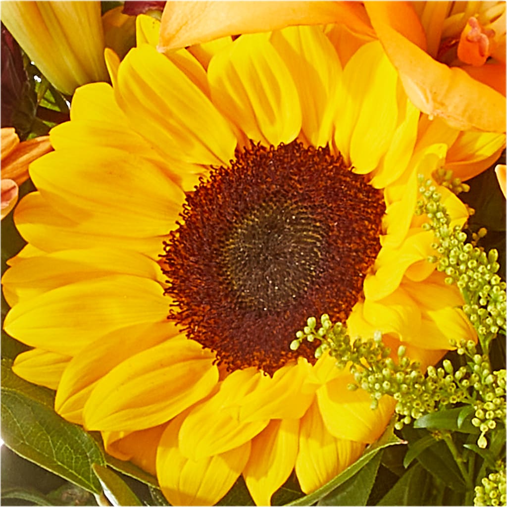 Seasons Change Bouquet –  Pt Passionate Florist, Monroe WA