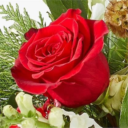 Deck the Halls Bouquet –  Pt Passionate Florist, Monroe WA