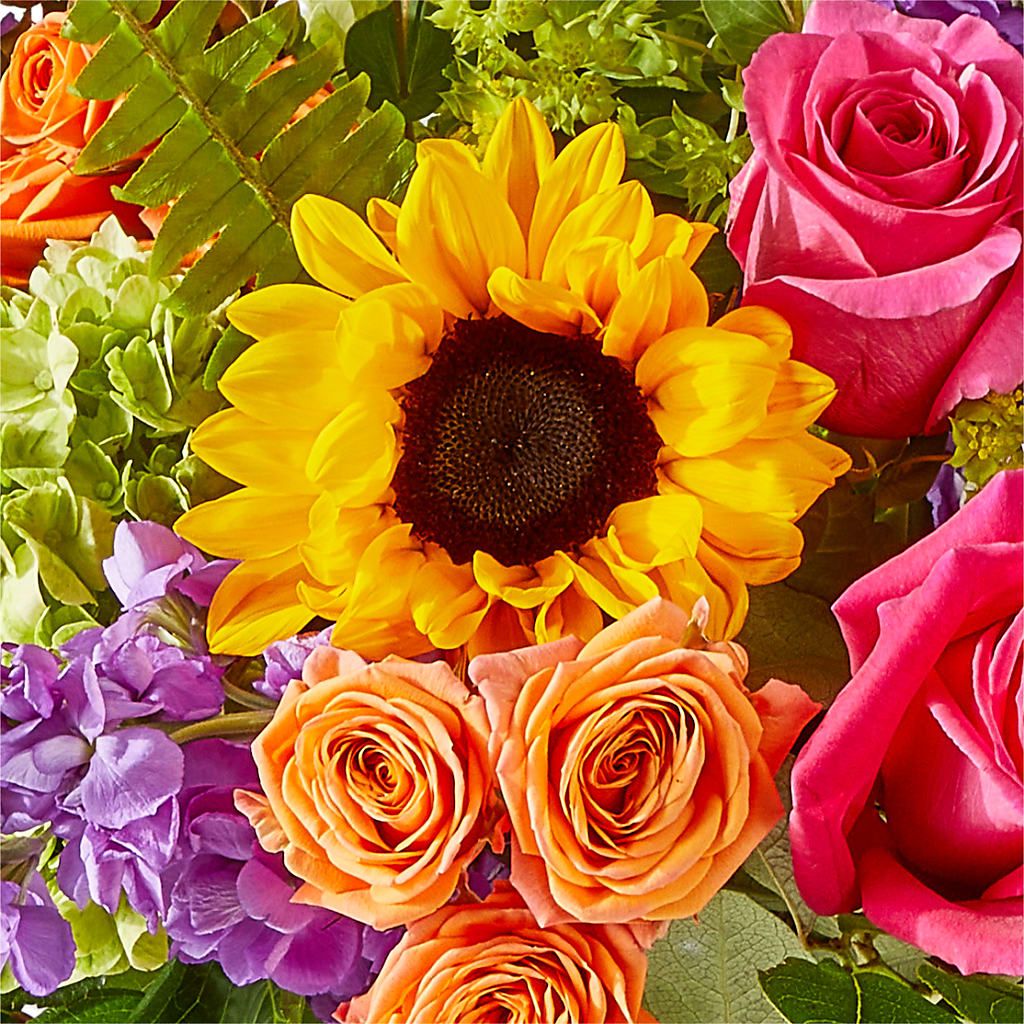 Vibrant Greetings Bouquet –  Pt Passionate Florist, Monroe WA